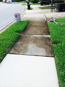Sidewalk Cleaning